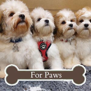 Forpaws Pet Shop & Grooming