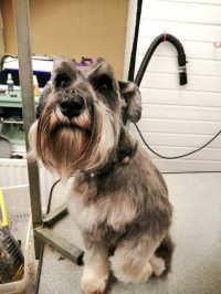Forpaws Pet Shop & Grooming