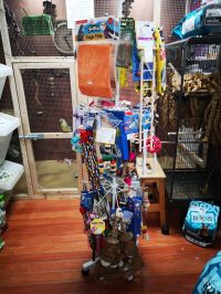 Forpaws Pet Shop & Grooming