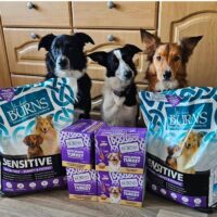 Burns Pet Nutrition Ltd